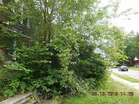 14626 Indiana (3)_m.jpg